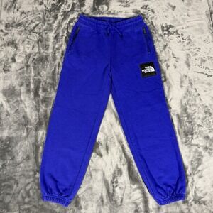 The North Face Sweatpants Mens Small Purple Relaxed Box Logo Heavyweight Joggers